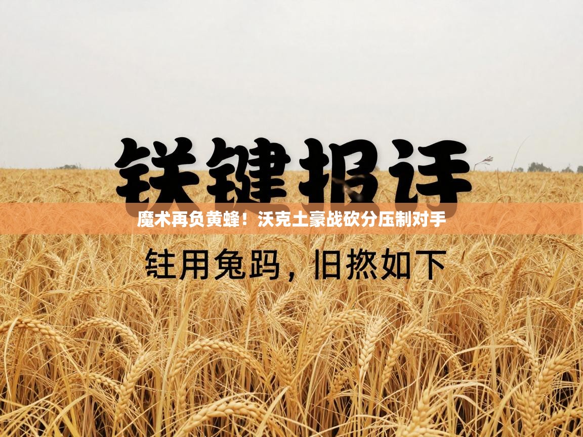 魔术再负黄蜂!沃克土豪战砍分压制对手 第2张